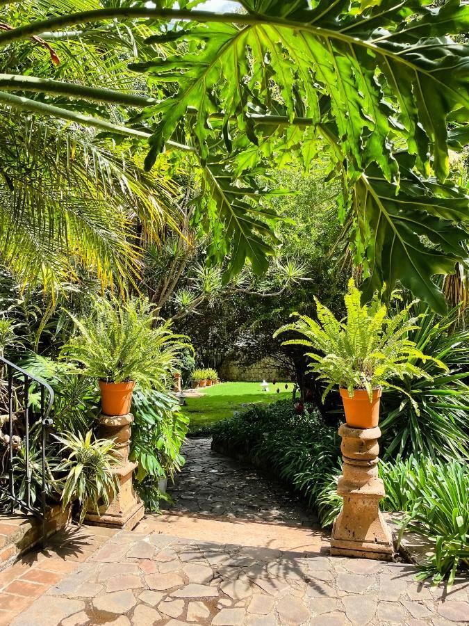 Casa Magdalena Hotel Boutique Μορέλια Εξωτερικό φωτογραφία